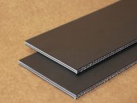 Potato Conveyor Belt