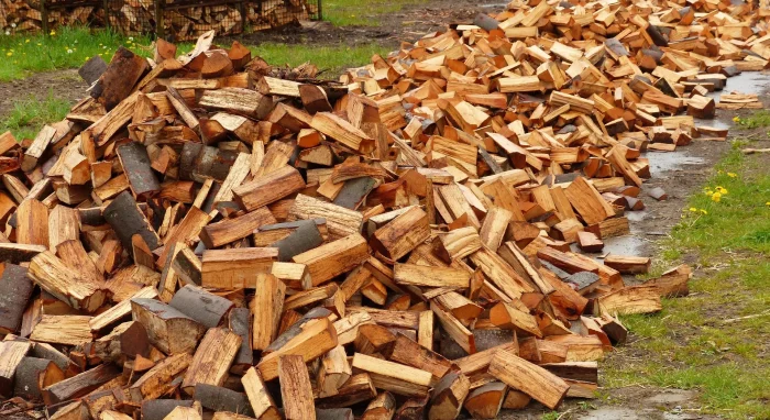 Firewood Conveyor Belt